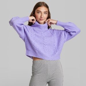 Knit Turtleneck Sweater